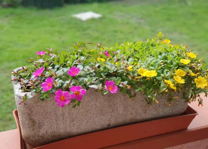 Stanza Angiolina * Forte dei Marmi